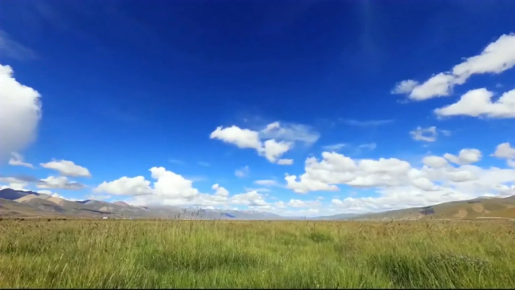 郭万惠：商会是一座桥梁，连接两地的经济建设和文化交流