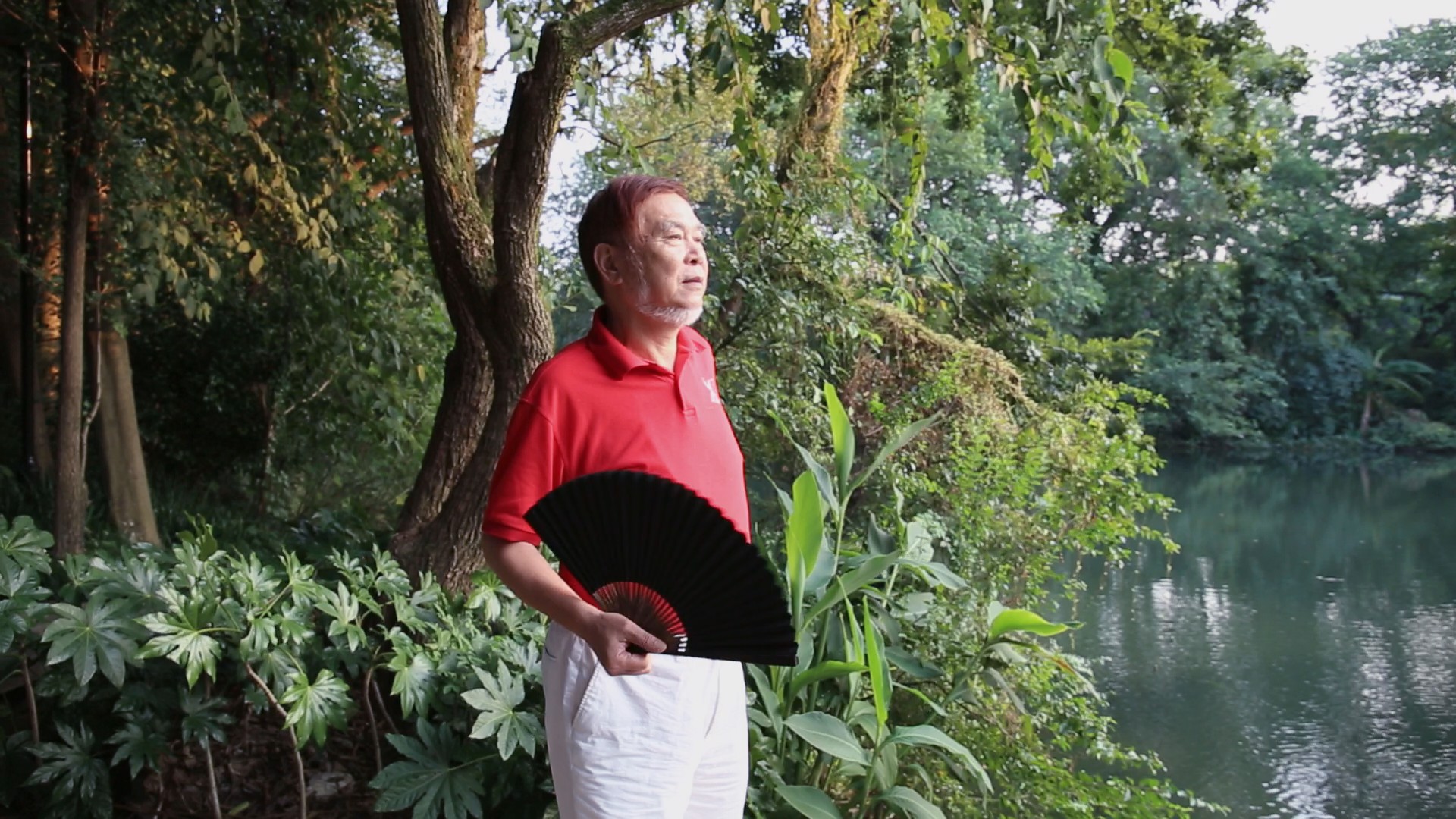 何水法：六十载孜孜不倦，筑文化复兴梦