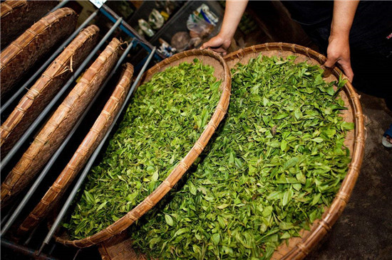 嵊州开启茶企清洁能源改造 低碳环保贯穿茶叶生产全过程