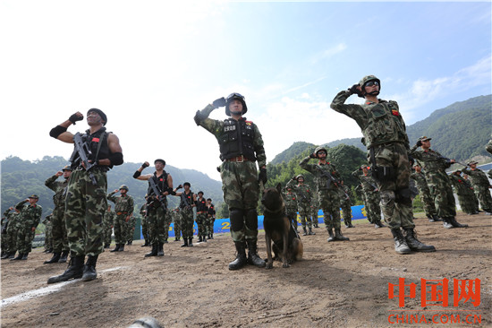 图为官兵进行宣誓.JPG