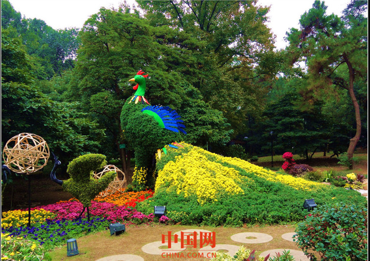 杭州植物园_副本1.jpg