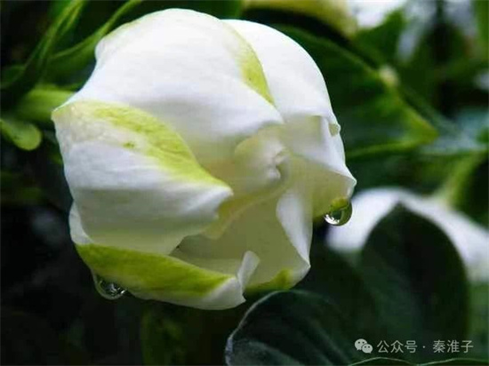 微信图片_20240524141003.jpg