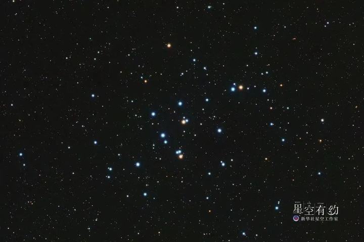 1800003161602727938_720px.jpg