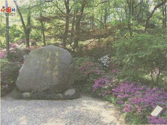图片5.jpg