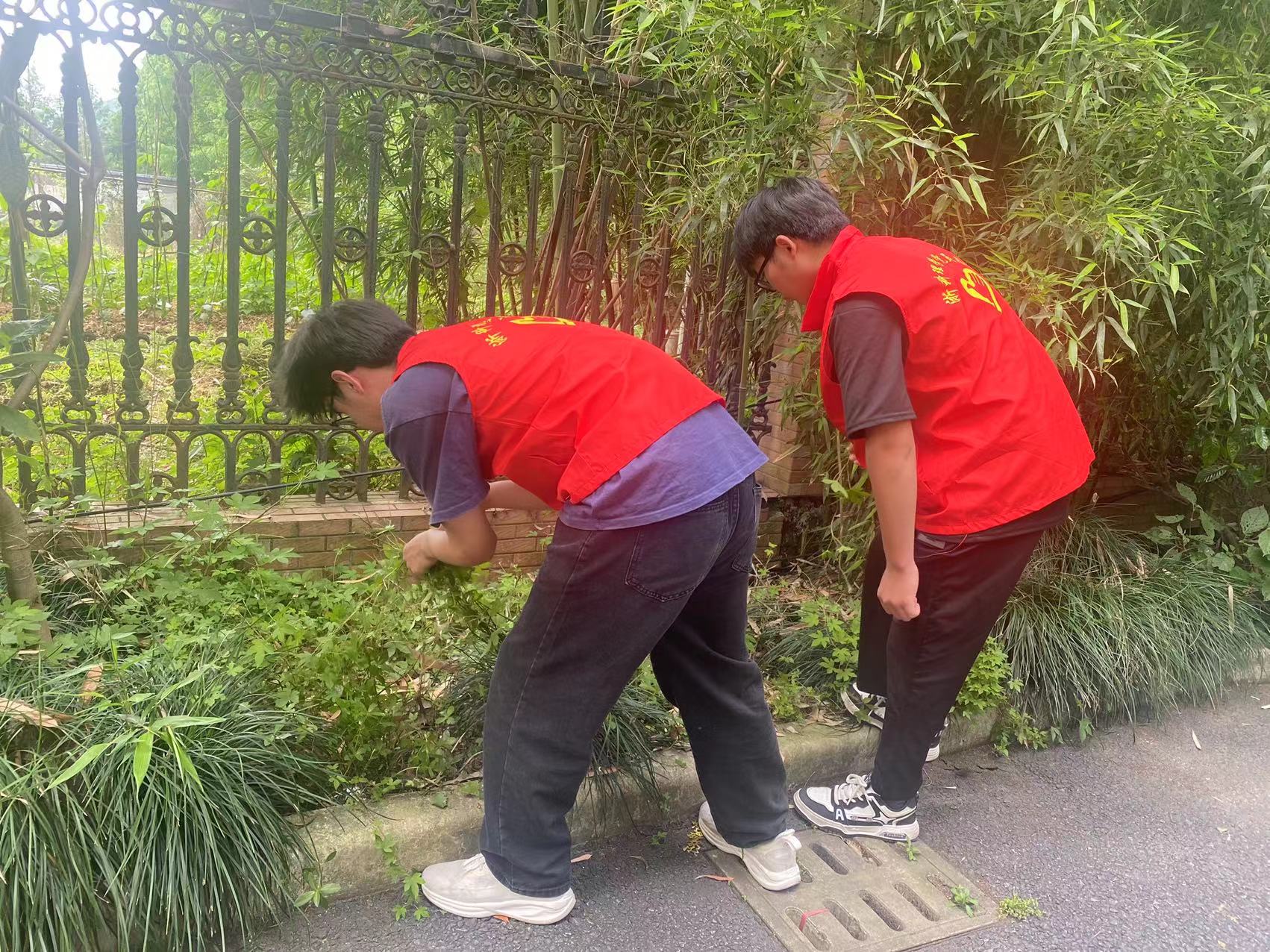 图片45.jpg