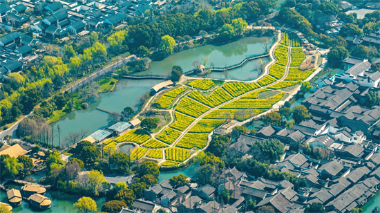 图片10.jpg